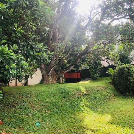 47 Alfred House - Free Pickup From Kandy City Eksteriør billede