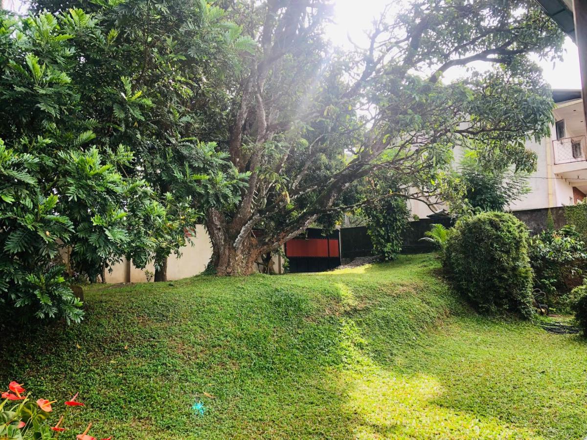 47 Alfred House - Free Pickup From Kandy City Eksteriør billede